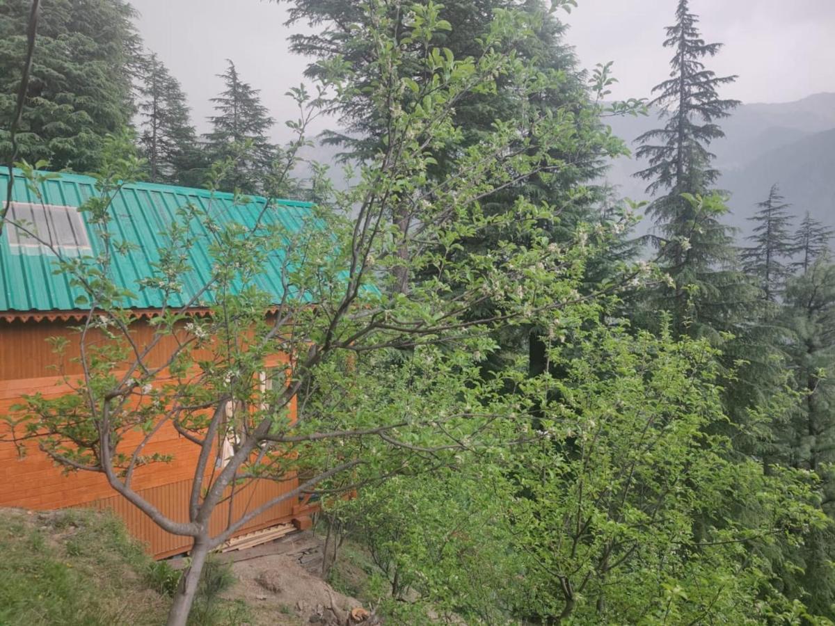 Hotel Freebird Nest Jibhi Zewnętrze zdjęcie